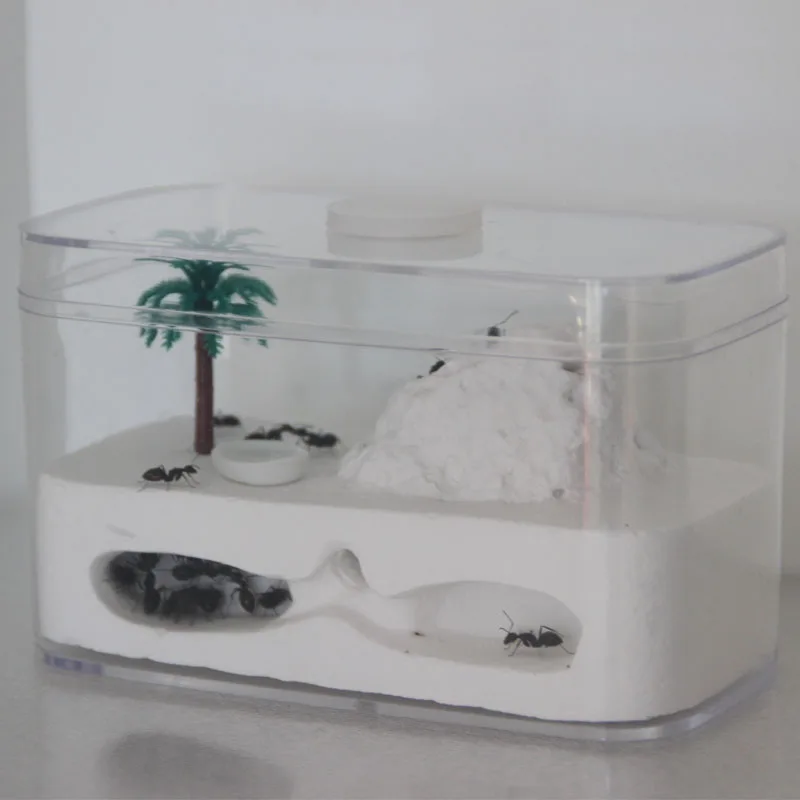 

Pet Ant Living Gypsum Nest Ant Castle Ant Workshop Home Children Insect Nest Ant Tree House