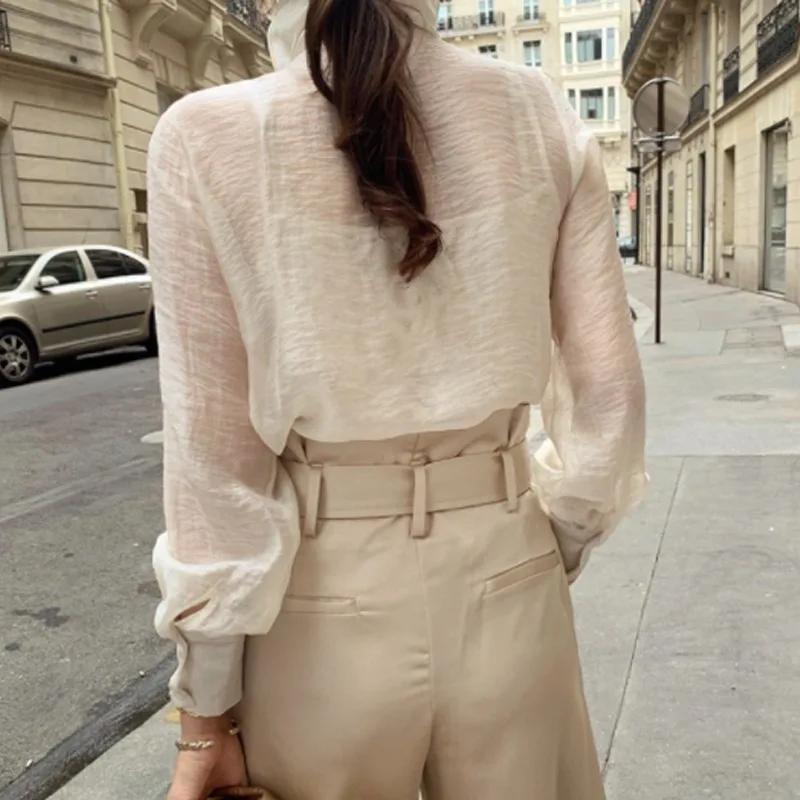 

New Fashion Long Sleeve Blouse Elegant Tops Blusas Sweet Chiffon Turtleneck Shirt Spring Fall Sexy See Through Thin Solid Women