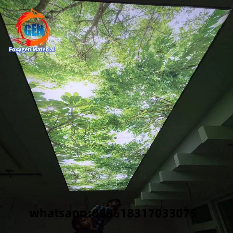 

Foxygen 5M uv print pvc stretch ceiling film false ceiling designs