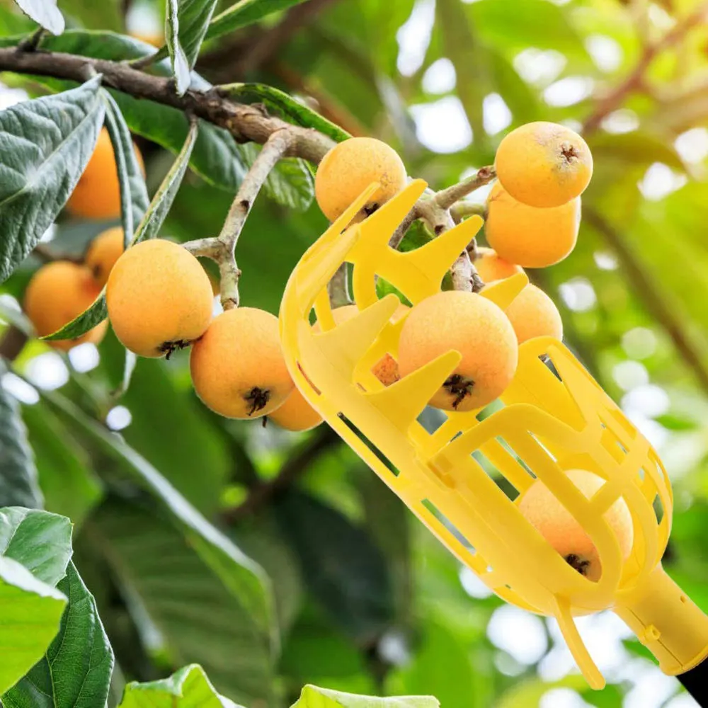 Садовые инструменты сборщик фруктов садоводство коллекция набор головок