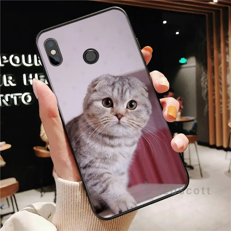 

cute cat Phone Case For Xiaomi Redmi note 4 4X 8T 9 9s 10 K20 K30 cc9 9t pro lite max