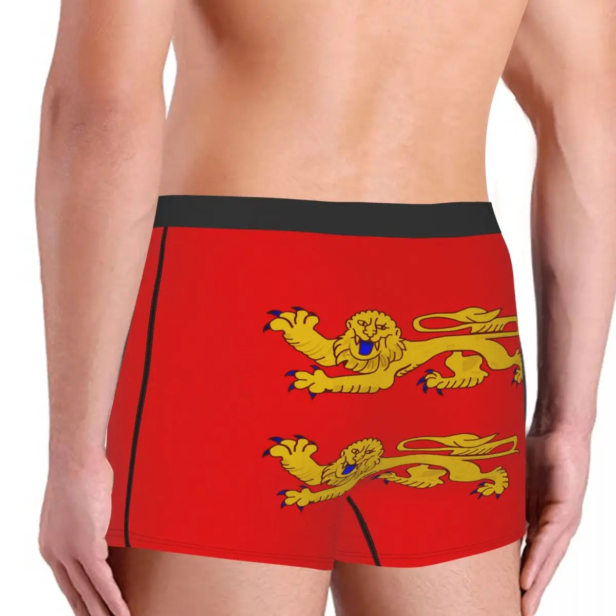 Flag Of Basse-Normandie Men's Boxer Briefs Flags of the regions of France Humor Graphic elastic pants for men