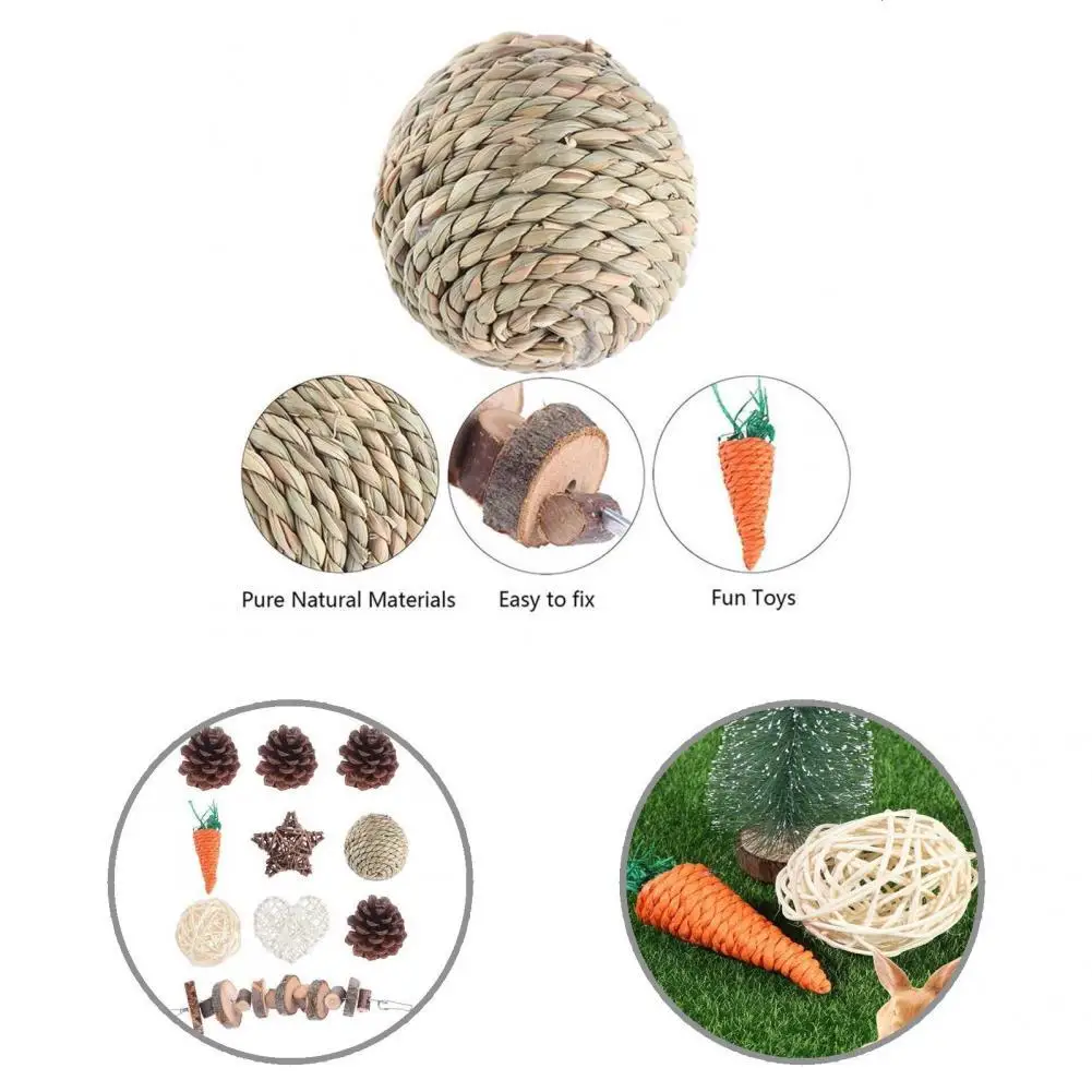 

Multiple Types Natural Wood Small Pet Teeth Molar Toys Pet Supplies