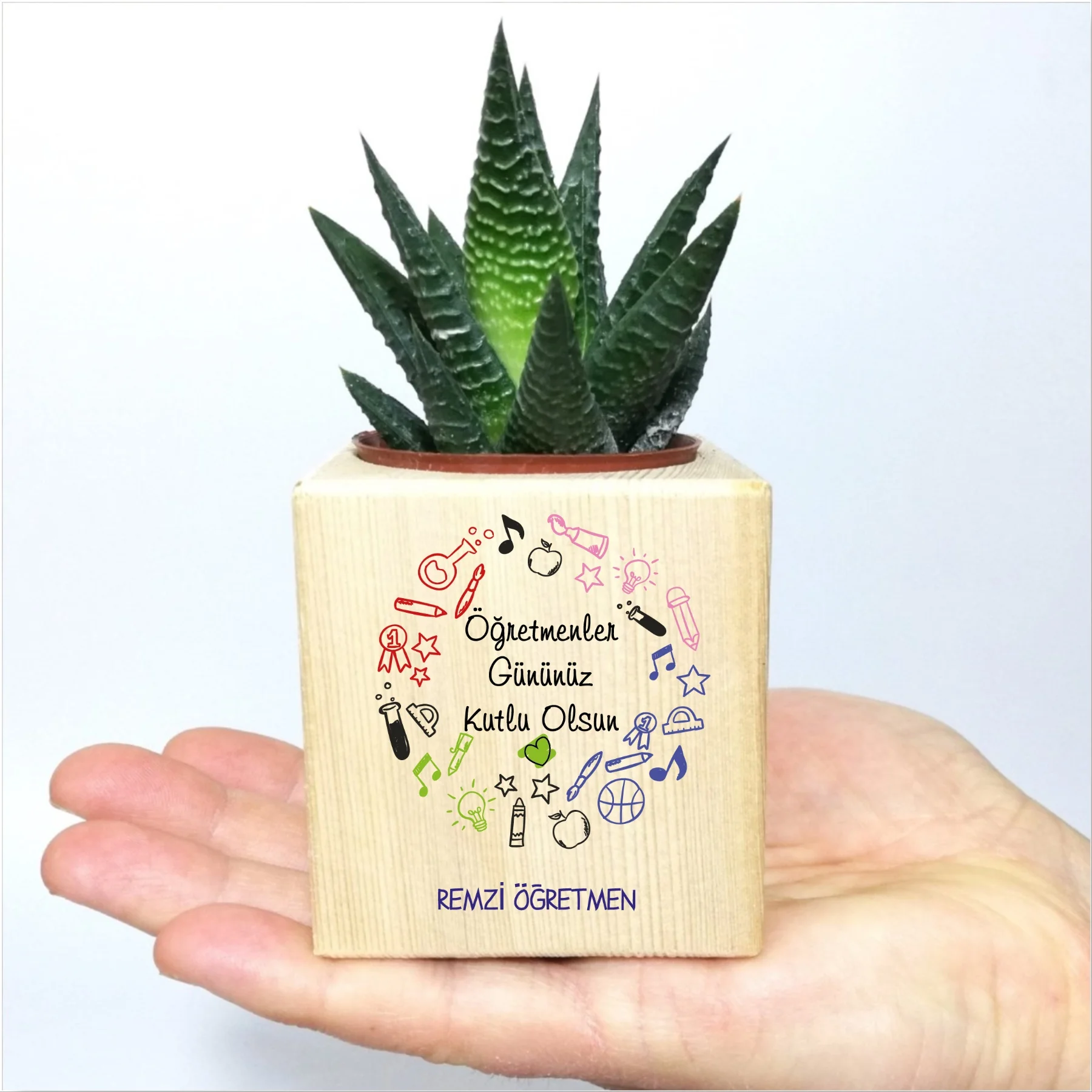 

Персонализированный сукуленовый день учителей-1 в горшках