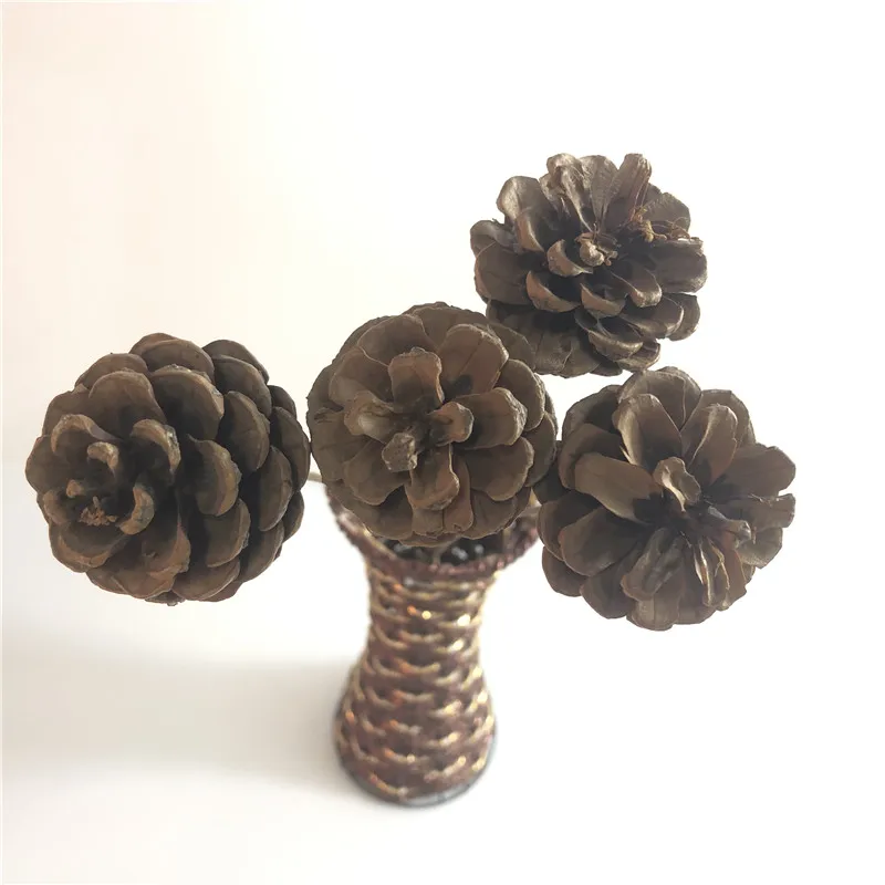 

Real Plants Dried Flower Wedding Christmas Home Decoration Accessories Natural Pinecone Acorn Photography Backdrop DIY Crafts