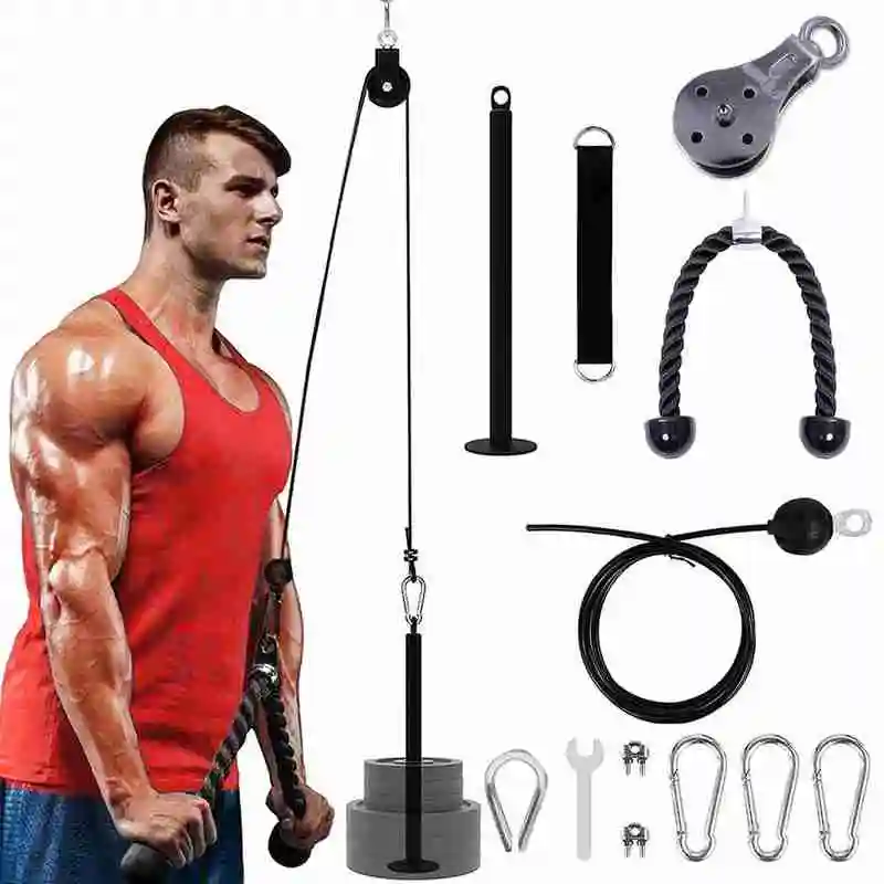 

Fitness & Body Building