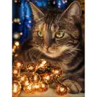 Тема алмазной кошки AMY, полная 5D ручная вышивка, квадратныекруглые алмазы, вышивка крестиком, картина для украшения интерьера