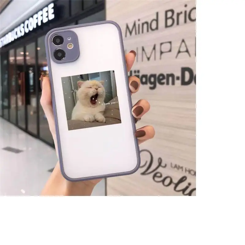 

cat Phone Cases Matte transparent For Gray iPhone 12 Mini 11 Pro XR XS Max 7 8 Plus X Back Cover