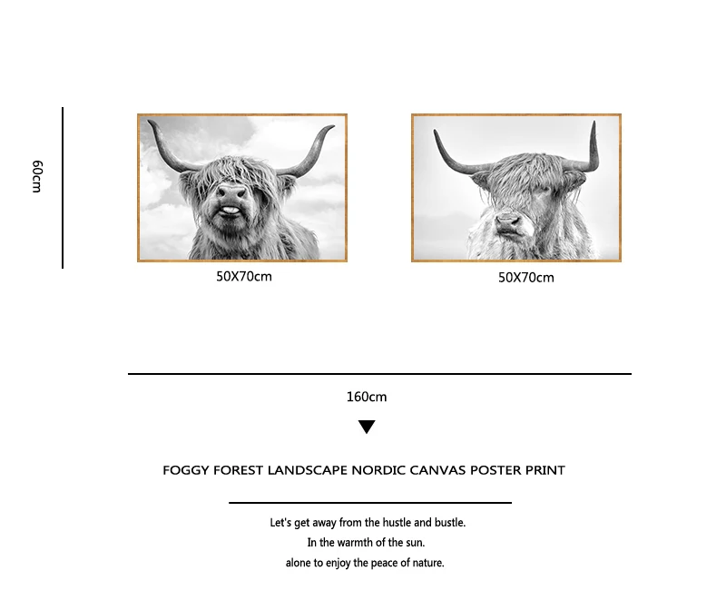 Черно-белая картина с изображением яка Highland Cow Wild рисунком животных постеры и