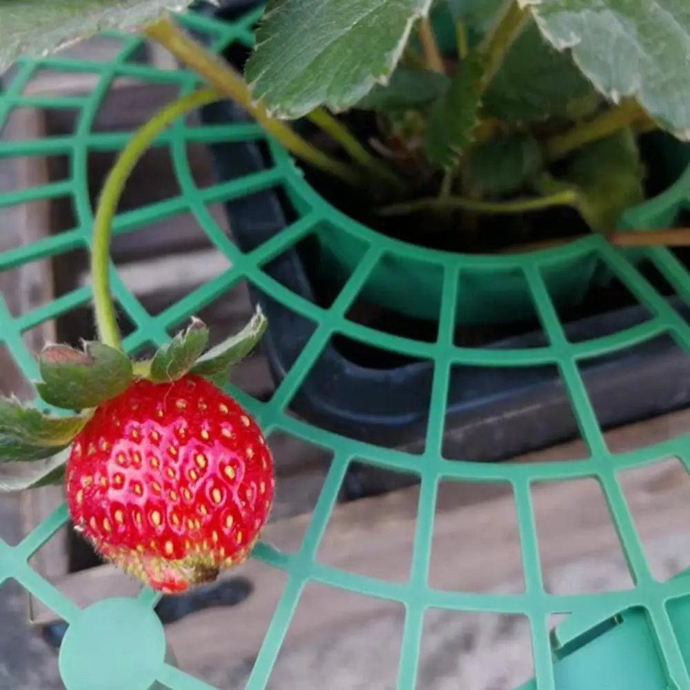 

Plant Stand Multi-use Strong Construction Plastic Garden Plant Stand for Home