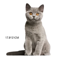 five kinds of personalized kitty car refrigerator bathroom kitchen bumper stickers door tail 3d animation funny creative sticker
