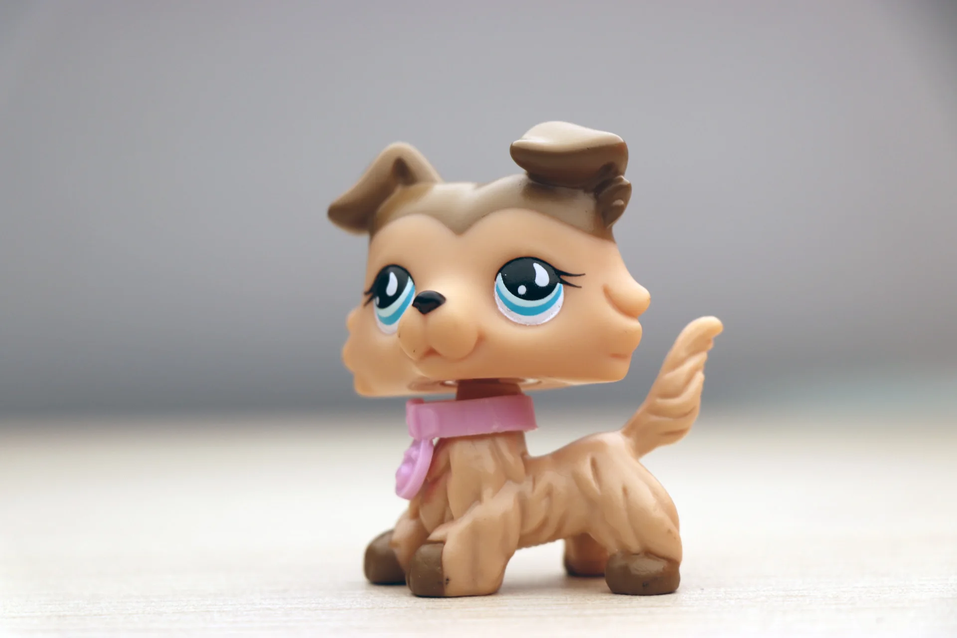 8 Действительно Редкие pet shop мини игрушки Действие стоячая коллекция коротких волос кошка белый розовый черный оранжевый тигр кошка и собака подарки - Цвет: 8