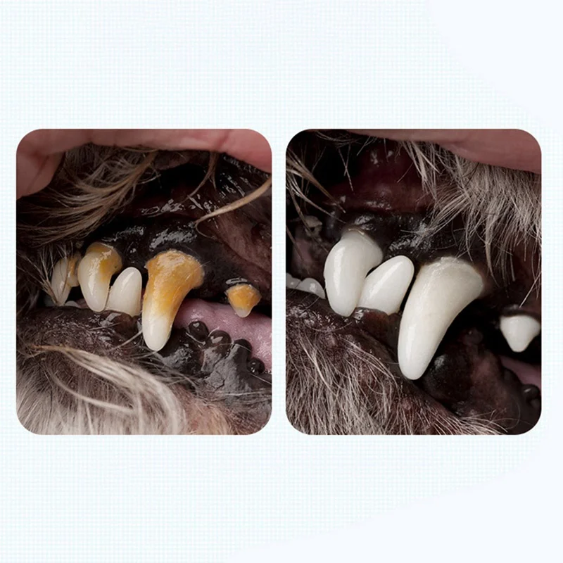 

3pcs/set Pets Teeth Cleaning Tool Dogs Cats Tartar Remover Pen Cat Grooming Dog Toothbrush Suit Soft Pet Finger Toothbrush Tool