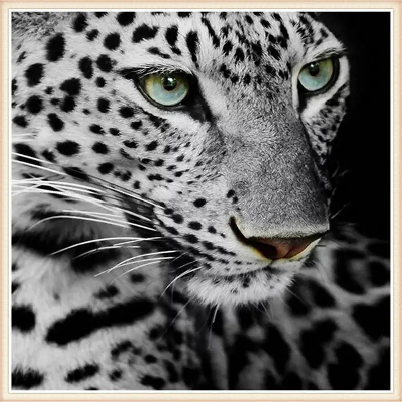 Leopard animals Новое поступление рукоделие DIY Кристалл полная дрель квадратная 5D алмазная живопись Набор для вышивки крестиком Мозаика круглые стразы - Цвет: Leopard 14