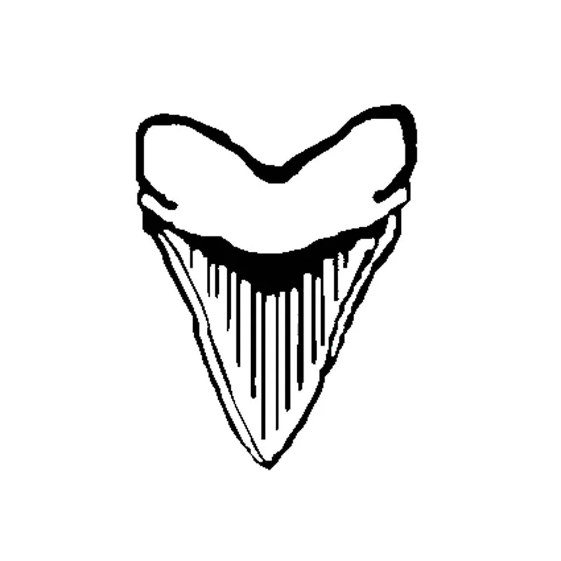 

Car Stickers Decor Motorcycle Decals Megalodon teeth Vinyl Decorative Accessories Waterproof PVC,13cmx10cm