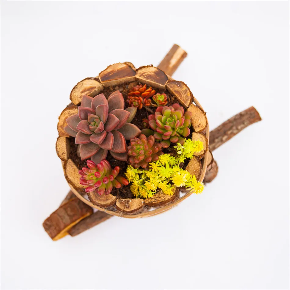 Деревянный цветочный горшок креативная комбинация цветов для магазина