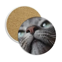 animal looking up cat photograph ceramic coaster cup mug holder absorbent stone for drinks 2pcs gift