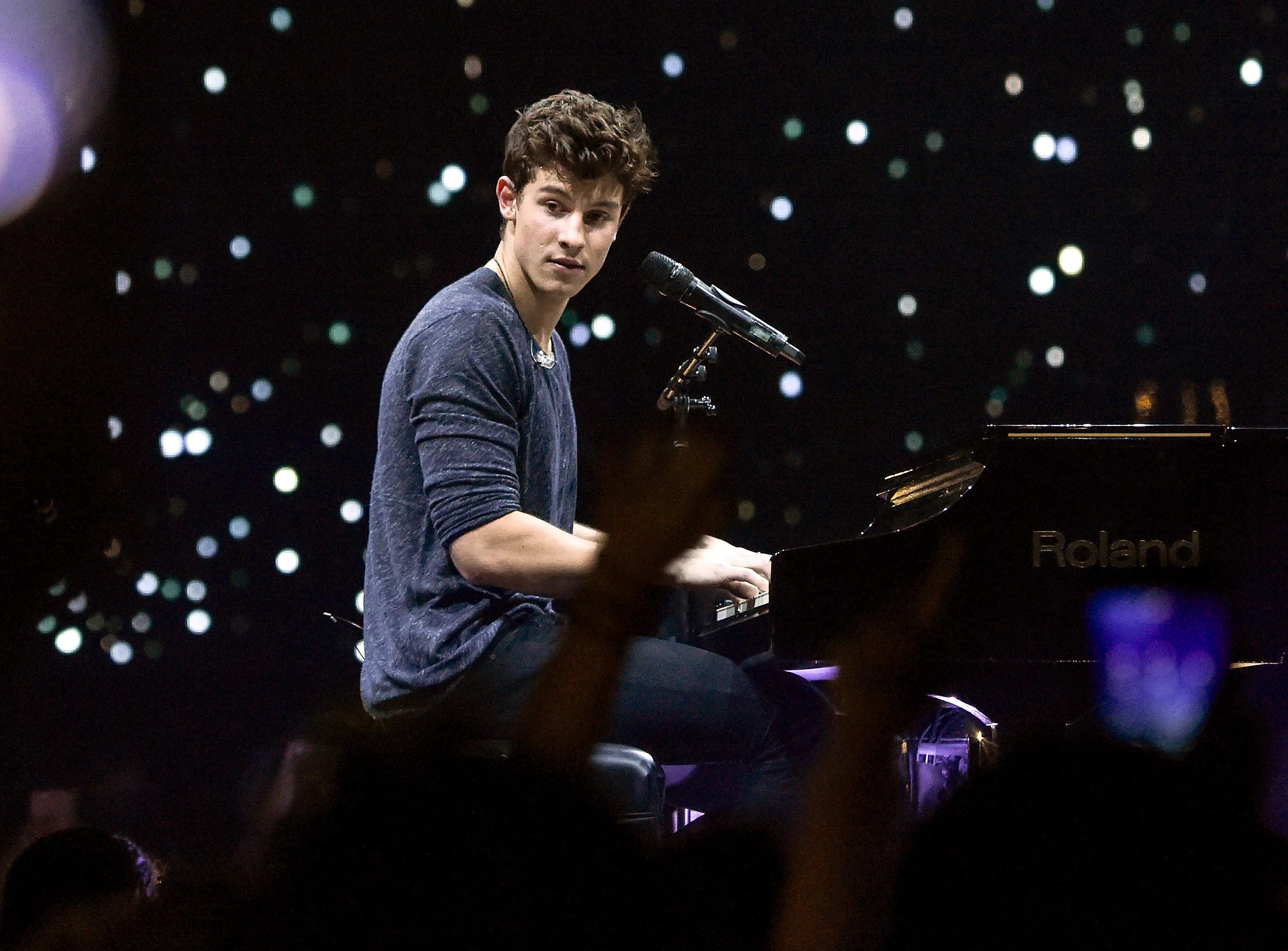 Shawn Mendes Silk Poster Wall Decor Room Painting 24X3Inch |