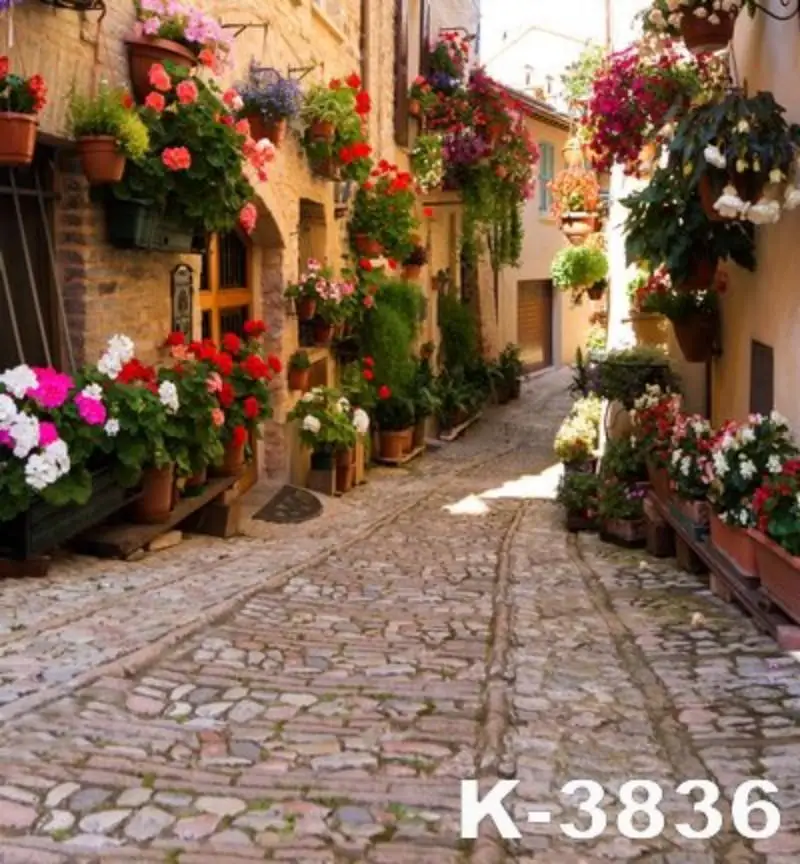 

Old Town Potted Flower Vine Alley Corridor House Scenic Photo Backgrounds Photography Backdrops For Photo Studio