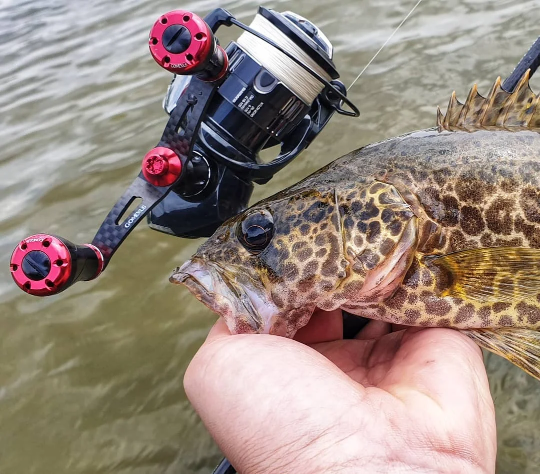 Gomexus углеродная двойная ручка Eging для спиннинга Shimano Vanford Stradic Twinpower 98 мм Tunning