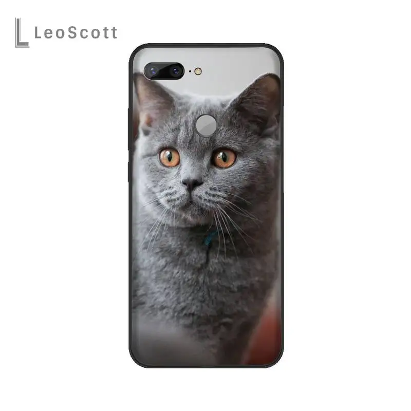 

British shorthair cat Phone Case For Huawei Enjoy 7 7s 8 8e 9 9e 10 plus P8lite 2017 Honor 5a view9 play 3e