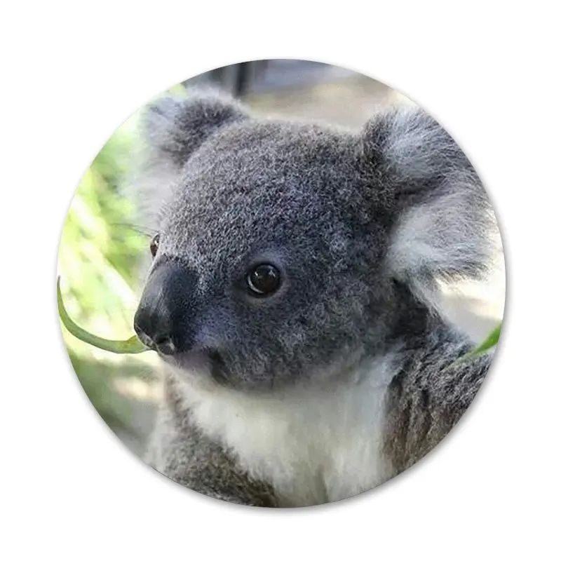 Милые животные мистер коала Пасхальный кролик значки металлические для