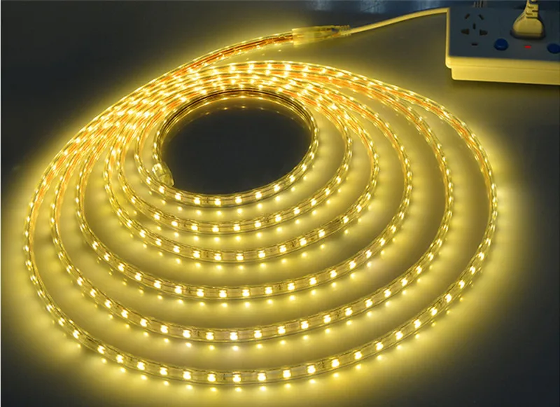 Warm White Светодиодная лента 220 В SMD 5050 RGB лента наружный водонепроницаемый гибкий неоновый светильник 2835 лампа для внутреннего декора светильник s tiras - Испускаемый цвет: Warm White