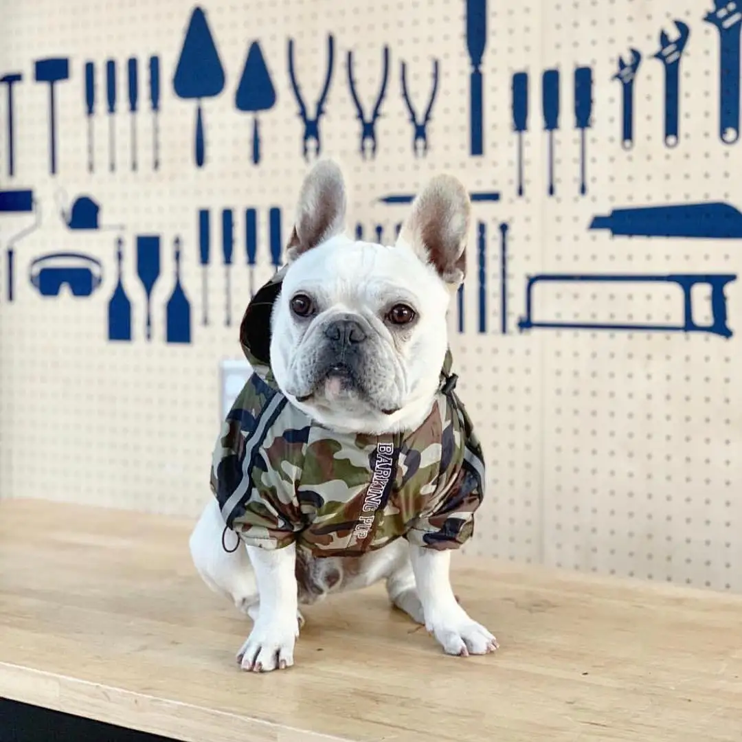 

Pet Dog Raincoat Waterproof Clothing Windbreaker With Camouflage Elements Suitable For Large Dogs Such As French Fighting Dogs