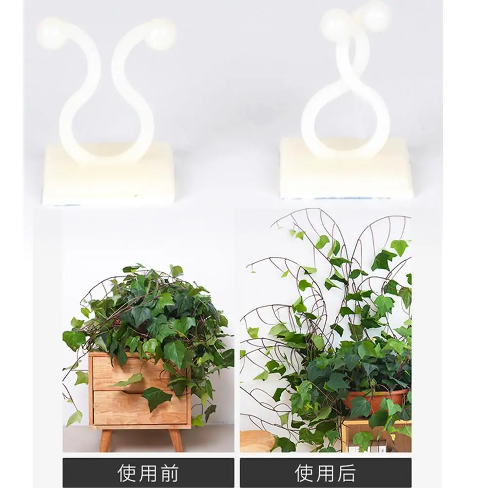 

100 шт в виде садовых овощей завод Поддержка зажим стержня чечевицы стена для скалолазания фиксаж, не оставляющая следов самоклеющийся крючо...