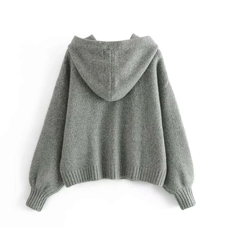 

Autumn and winter women's sweater casual solid color loose hooded sweater
