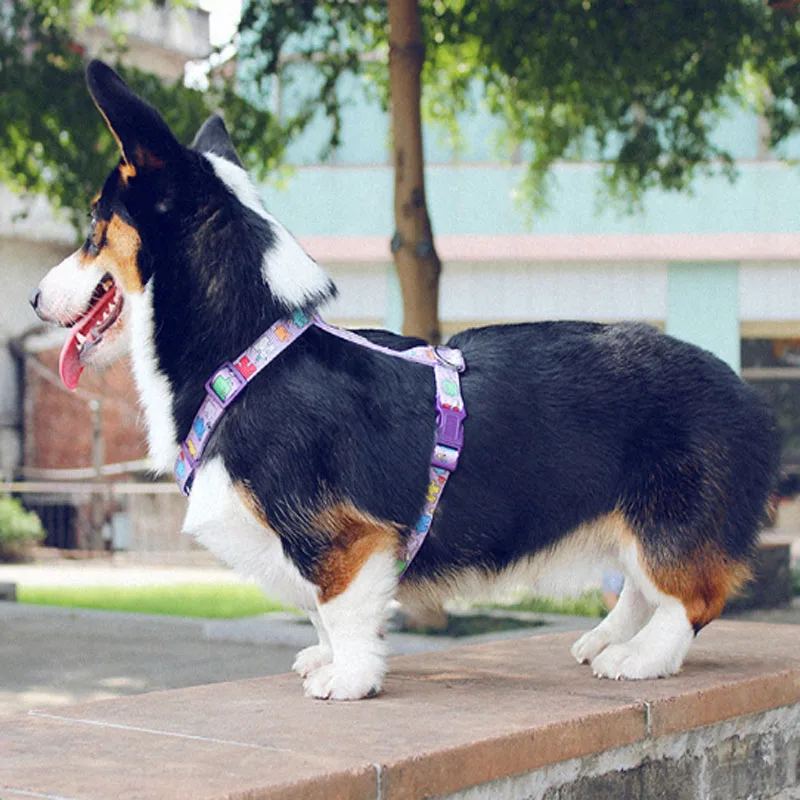 Нейлоновый H образный ремень для собак Регулируемый дышащий персонализированный