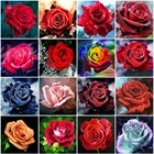 Evershine 5D DIY Алмазная вышивка розы картина стразы Алмазная мозаика цветы вышивка крестом наборы рукоделие декор для дома