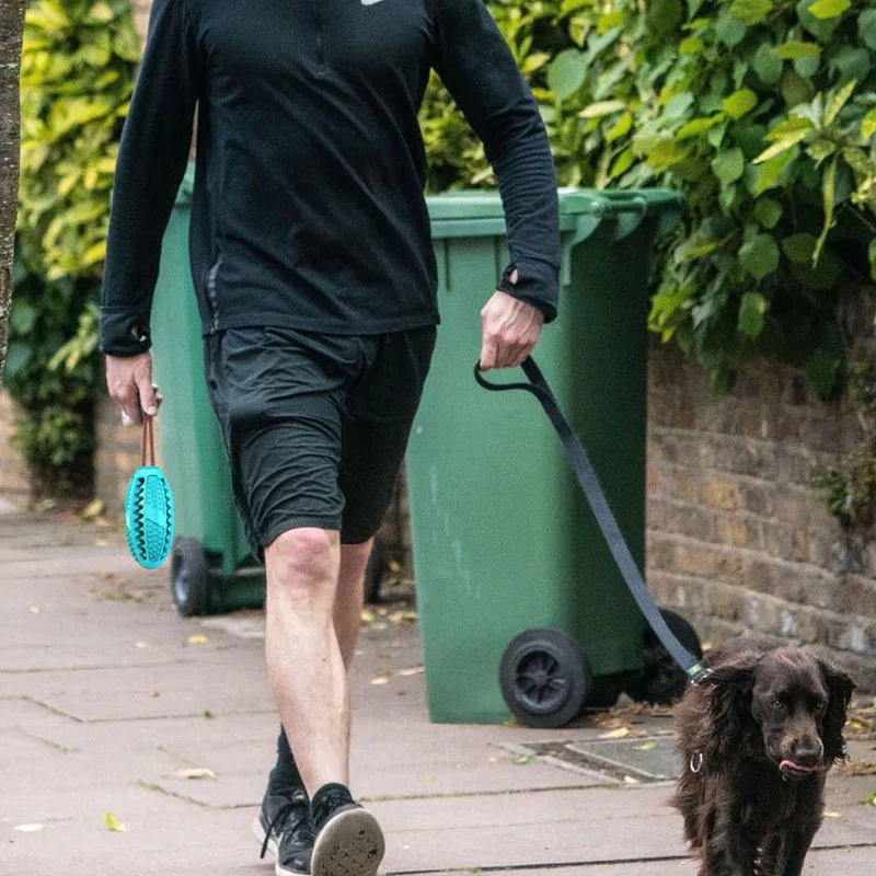 Зубная щетка для собак Жевательная прорезывания зубов у маленьких и больших