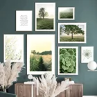 Зеленый природный пейзаж, Одуванчик, растения, настенная живопись, скандинавские плакаты и принты, настенные картины для декора гостиной
