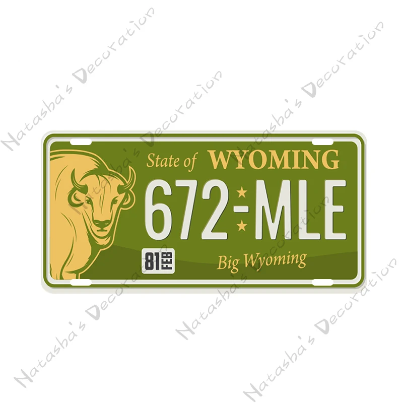 Металлическая пластина с номером автомобиля декоративная линейная