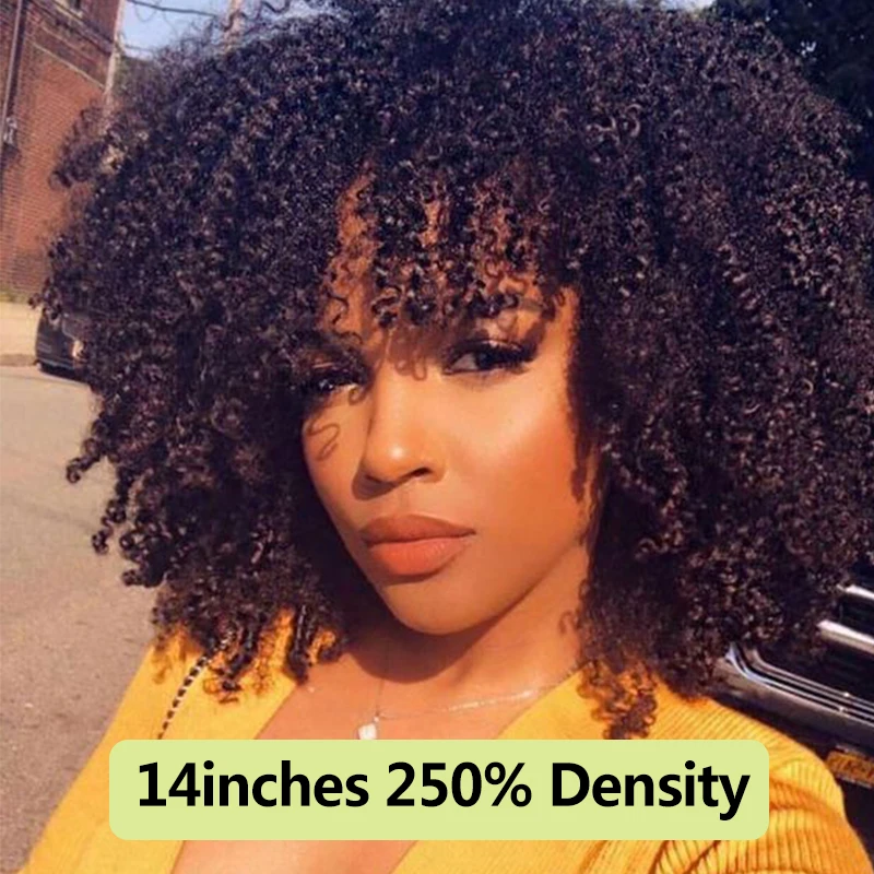250 Density Afro Kinky Curly Lace Front Human Hair Wigs With Bangs Short Bob Lace Frontal Wig For Women Full 4B 4C Dolago Black