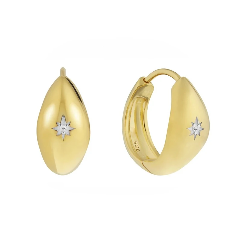 

Viny Earrings For Women 925 Sterling Silver Piercing Earrings Hoops Hexagonal Starlight Surface Pendientes Wedding Jewelrys