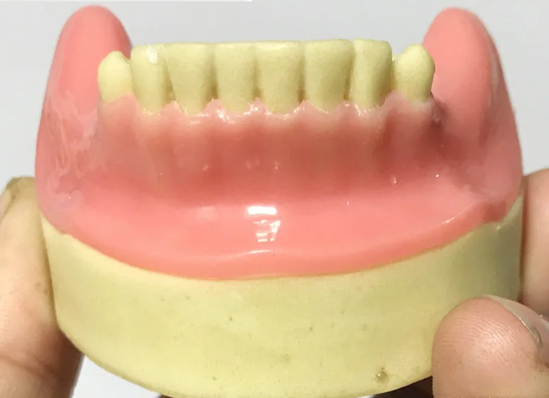 Стоматологическая модель Реалистичная нижняя челюсть остеоидная мягкая Десна