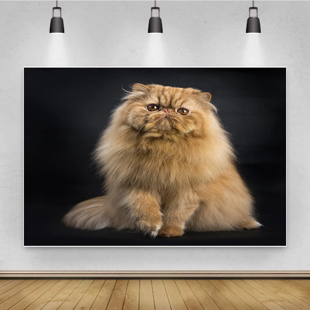 

Backdrop Photos Background Photo Cats Printed Photocall Photozone Vinyl Photography Animals Theme Decorations