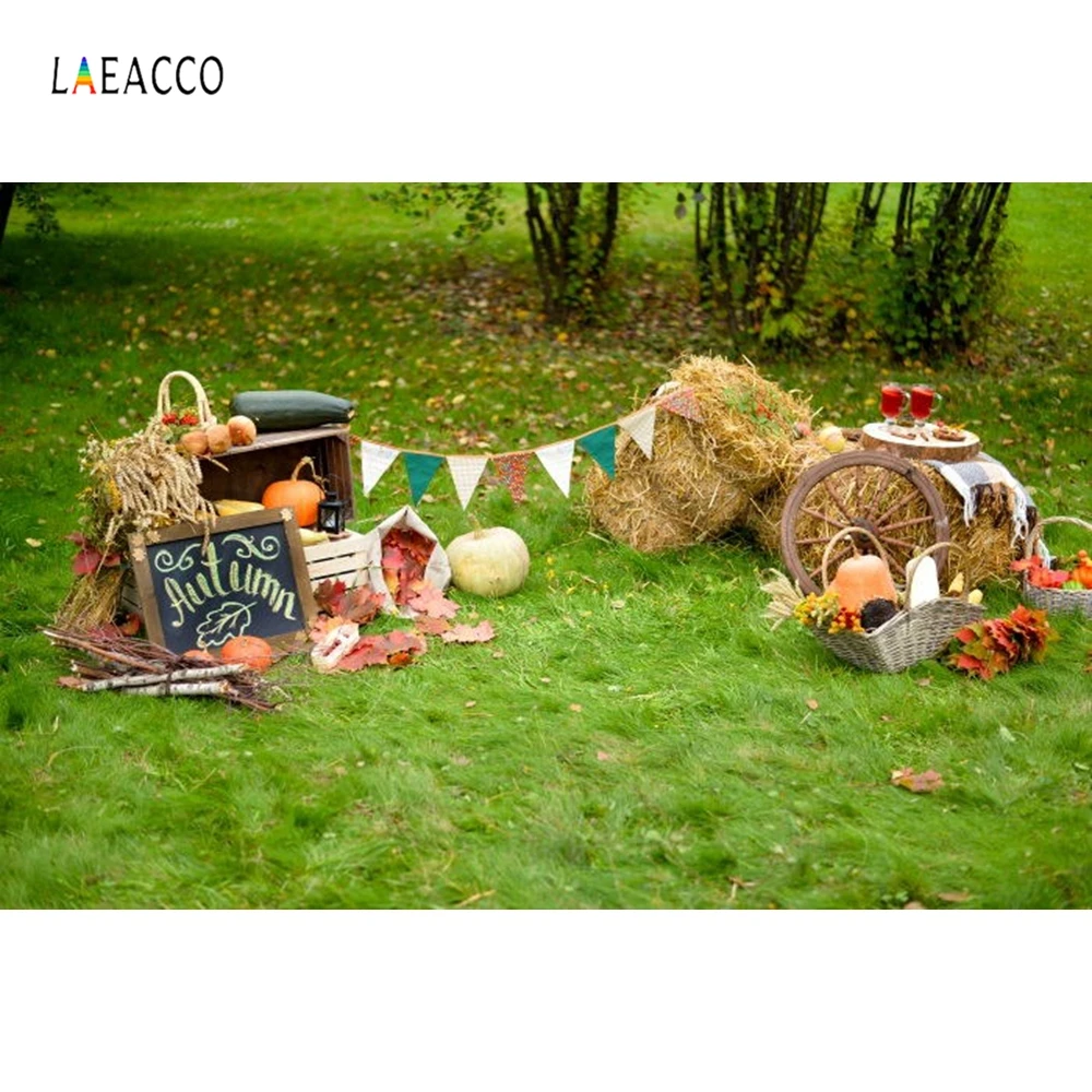 Laeacco открытый осенний фон для пикника с тыквенным колесом виниловый