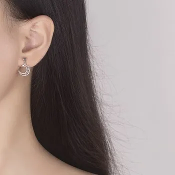 

Diamond Studded Moon Star Earrings, Female Fashion, Female Temperament, Versatile, Female Earrings Wholesale Se2050