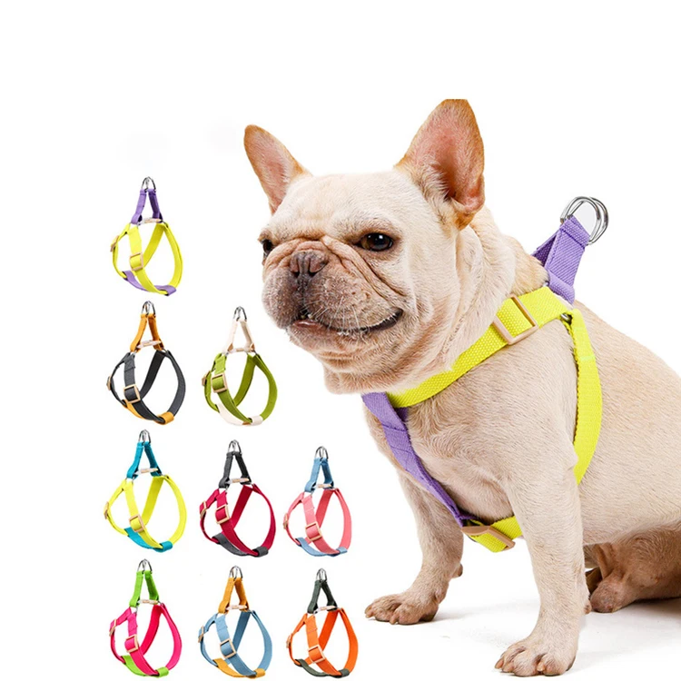 

Cool dog Worth Buying Soft Colorful Padded Pet Harness Dog Training Products Dog Harness dog collarpurple dog collarhands free
