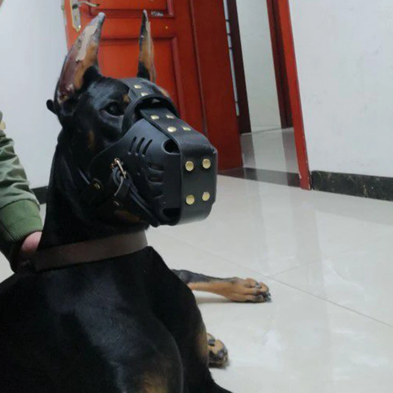 Смешная короткая морда Грейхаунд намордник домашний кожаный бульдог большой