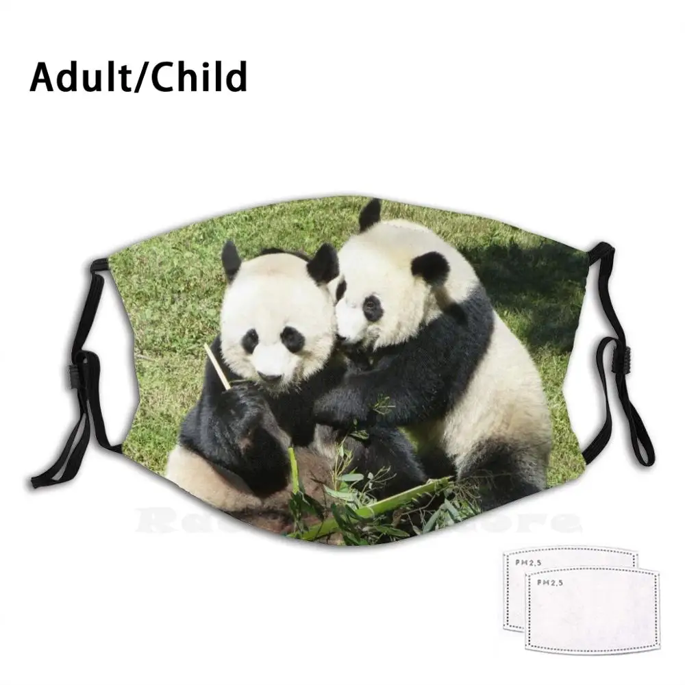 

Giant Pandas Mei Xiang And Bei Bei At The National Zoo Funny Print Reusable Pm2.1181 Filter Face Mask Panda Panda Cute Bear