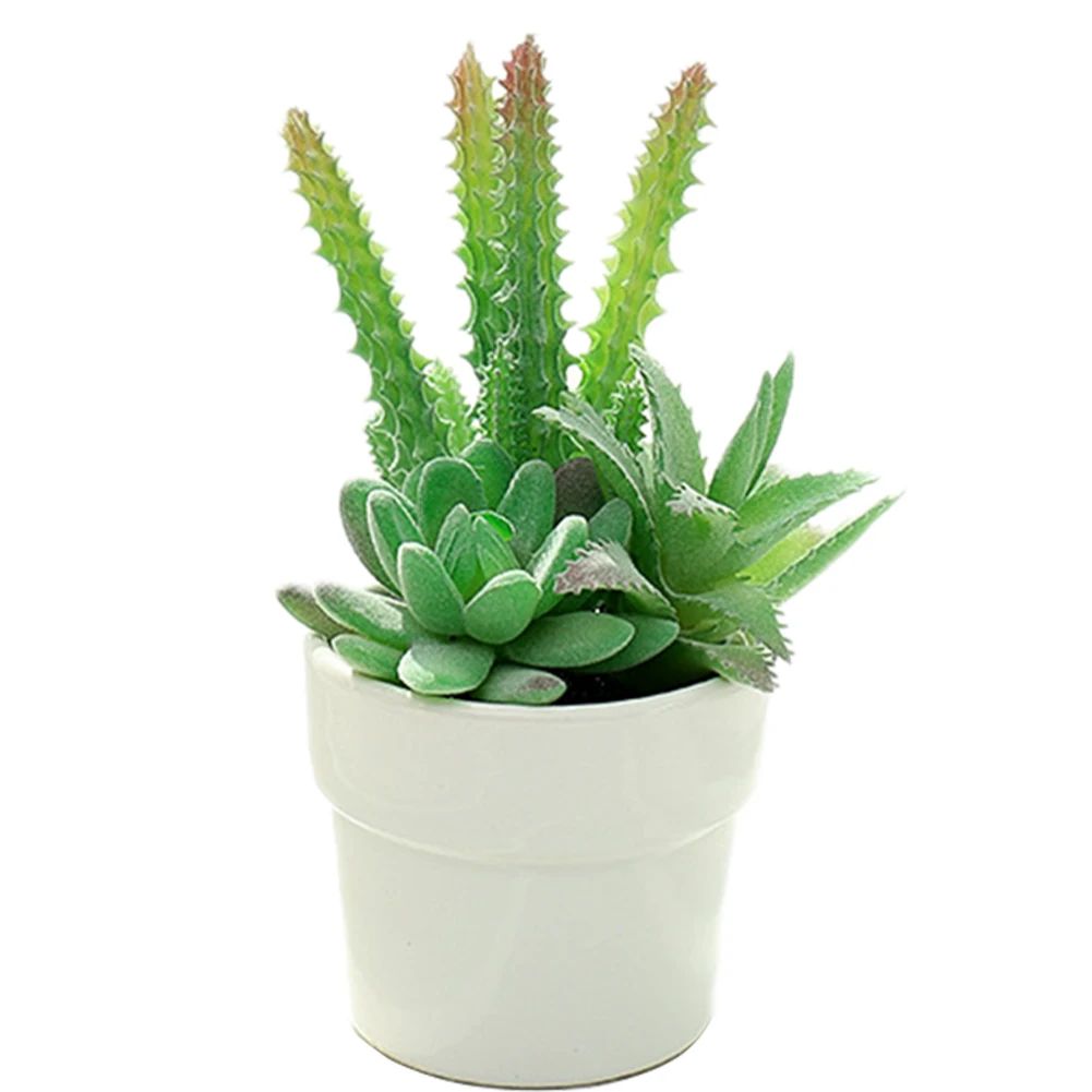 

Artificial Succulent Plants Fake Potted Succulents Realistic Small Decoration With Ceramic Pot For Home Bonsai Fake Plants