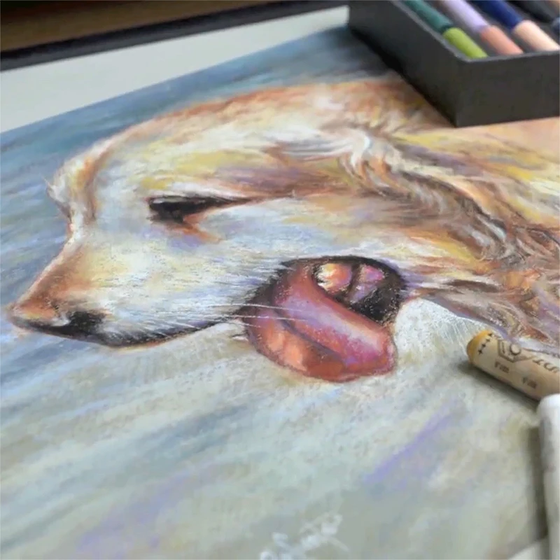 Нидерланды Rembrandt Master Soft Pastel 5/10 цвет s половина длины Профессиональный Цвет Мел