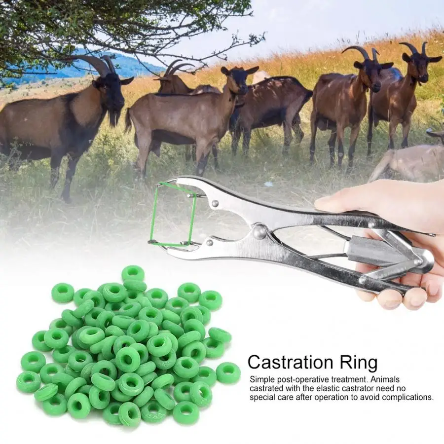 100 шт. резиновые эластичные плоскогубцы для кастрации хвоста коровы кольца