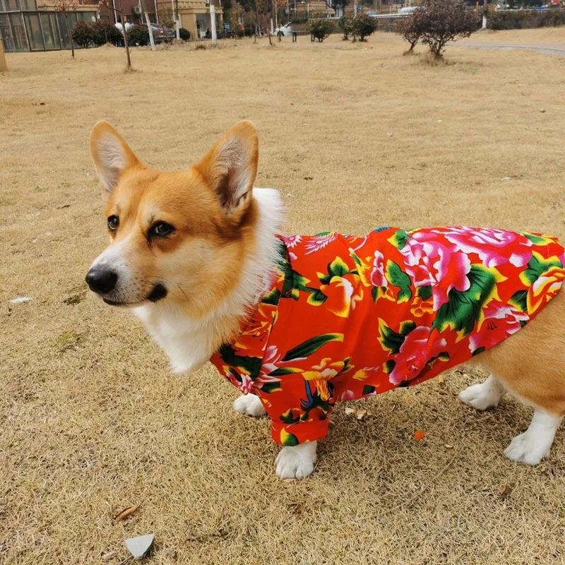 

Летняя рубашка для собак, пудель, Бишон, шнауцер, уэльш, корги, одежда для собак, самоину, Шиба-ину, Хаски, женская одежда, пальто