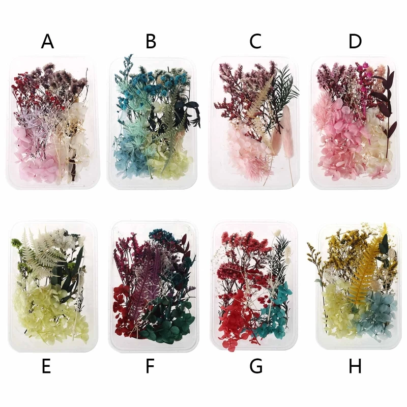 

1 Box Real Mix Dried Flowers for Aromatherapy Candle Resin Jewellery Dry Plants Pressed Flower Making Craft DIY Accessories WXTD