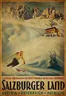 VintageMetal жестяная вывеска лыжные Salzburger Land Австрия Лыжный Спорт зимние спортивные декоративный настенный плакат домашний бар ресторан пластины с ретро рисунками для гаража, кафе искусство